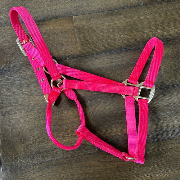 Horse Tack - Hot Pink Large Hamilton Halter - Picture 5 of 7